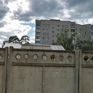 Pesochnaya ulitsa, 2А ، : صورة