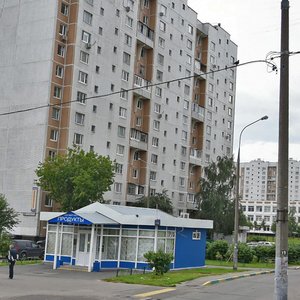 Novoperedelkinskaya Street, 13А, Moscow: photo