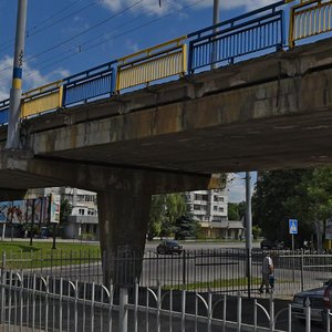 Львов, Улица Владимира Великого, 22: фото