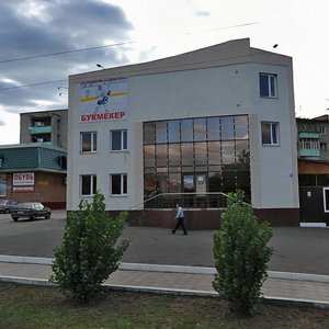 Ternovskogo Street, 255, Penza: photo