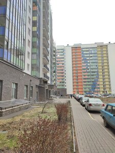 Мурино, Воронцовский бульвар, 14к5: фото
