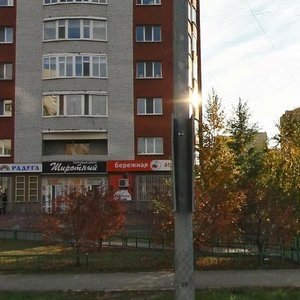 Shirotnaya ulitsa, 122к1, : foto