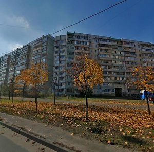 Mykoly Zakrevskoho Street, 89, Kyiv: photo