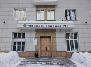 Morskoy Avenue, 2, Novosibirsk: photo