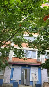 Pobedy Boulevard, 49 ، فورونيج: صورة