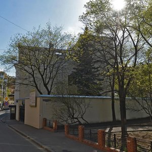 Bolshoy Lyovshinsky Lane, 4, Moscow: photo