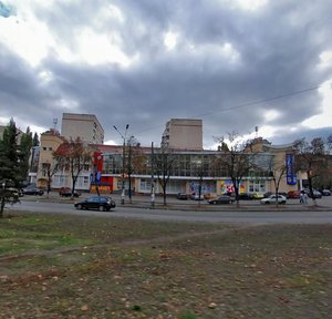 Yaroslava Ivashkevycha Street, 6/8А, Kyiv: photo