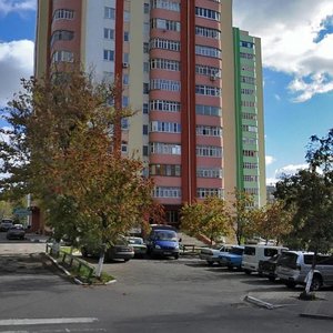 Nikolaya Chumichova Street, 60, : foto