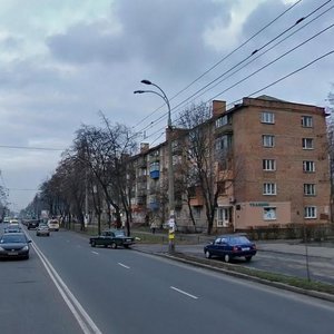 Stetsenka Street, 7, Kyiv: photo