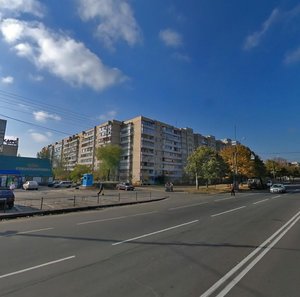 Serzha Lyfaria Street, 5, Kyiv: photo