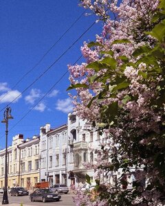 Lenin Avenue, 109, Tomsk: photo