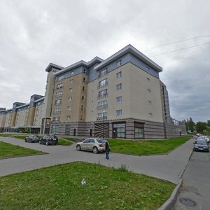 Varkausa Embankment, 29 ، : صورة