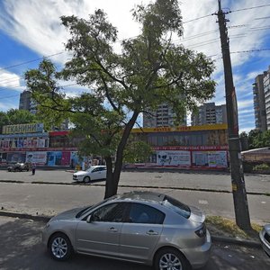 Raisy Okipnoi Street, 3, Kyiv: photo