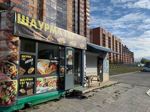 Новосибирск, Улица Ключ-Камышенское Плато, 9к1: фото