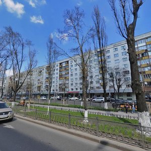 Lesi Ukrainky Boulevard, 17, Kyiv: photo