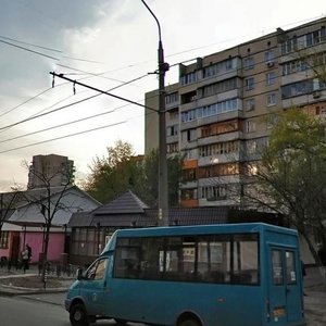 Heroiv Stalinhrada Avenue, 65Б, Kyiv: photo