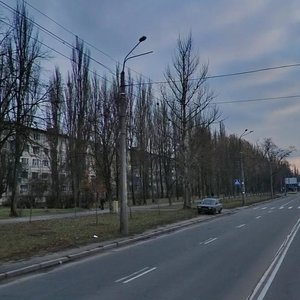 Ivana Vyhovskoho Street, 12, Kyiv: photo