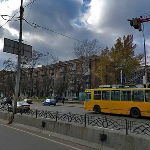 Oleny Telihy Street, 23, Kyiv: photo