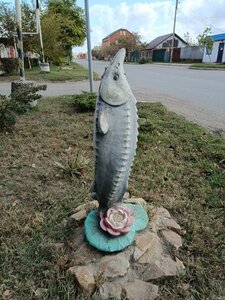 Камызяк, Улица Тараканова, 11: фото