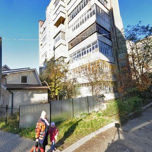 Vovchynetska vulytsia, 34 ، : صورة