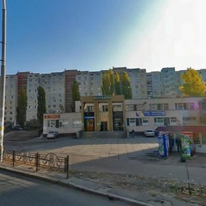 Heroiv Dnipra Street, 14, Kyiv: photo