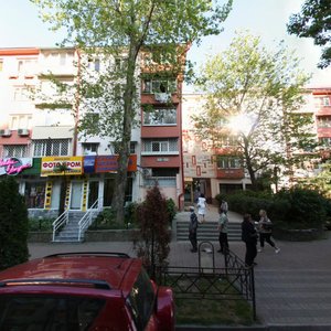 Vorovskogo Street, 60, Sochi: photo