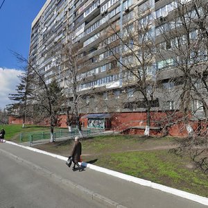 Lesi Ukrainky Boulevard, 36Б, Kyiv: photo