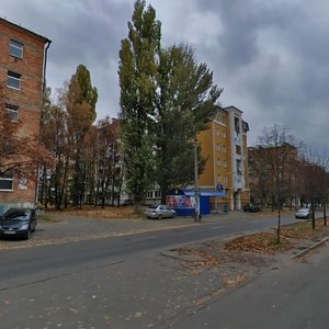 Mykhaila Lomonosova Street, 34/1А, Kyiv: photo