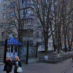 Rybalska Street, 10, Kyiv: photo