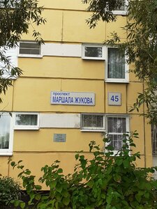 Marshala Zhukova Avenue, 45, Saint Petersburg: photo