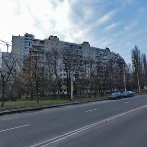 Vasylia Poryka Street, 15, Kyiv: photo