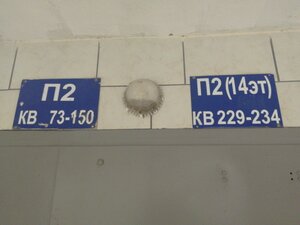 Lesotekhnikuma Street, 26/2, : foto