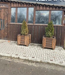 Sadovoye tovarishchestvo Luch, 46, : foto