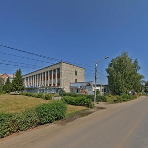 Семилуки, Улица Дзержинского, 12: фото