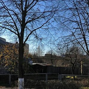 Oktyabrskaya Street, 274, Tula: photo