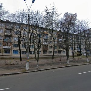 Heroiv Sevastopolia Street, 8, Kyiv: photo