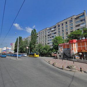 Keletska vulytsia, 118, Vinnytsia: photo