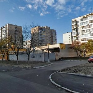 Obolonskyi Avenue, 29 ، كييف: صورة