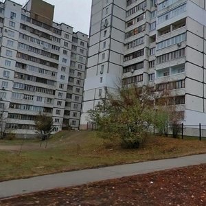 Vadyma Hetmana Street, 46Ак1, Kyiv: photo