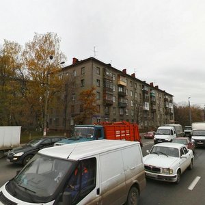 Нижний Новгород, Переулок Райниса, 1: фото