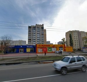 Heroiv Dnipra Street, 40, Kyiv: photo