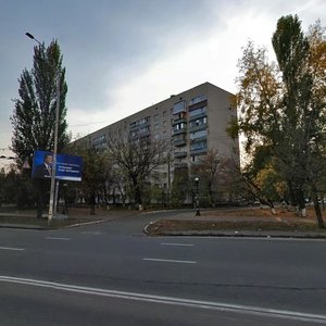 Marshala Malynovskoho Street, 27/23, Kyiv: photo
