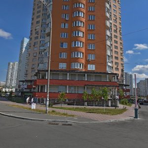 Yelyzavety Chavdar Street, 2, Kyiv: photo