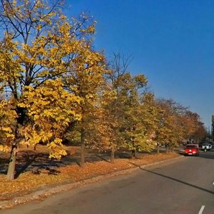 Raiduzhna Street, 25, Kyiv: photo