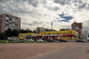 Krylenko Street, 21, Saint Petersburg: photo