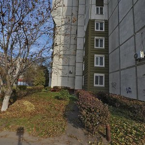 Vulytsia Vasylia Stusa, 3 ، : صورة