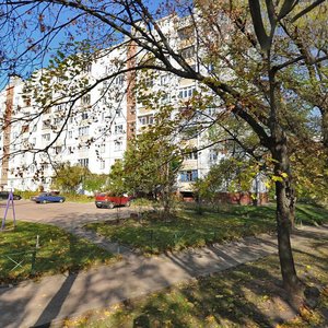 Piatnytska vulytsia, 61, Chernihiv: photo