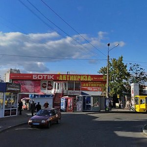 Popudrenka Street, 7, Kyiv: photo