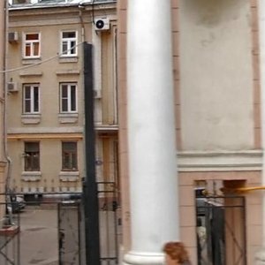 Yermolayevsky Lane, 11 ، موسكو: صورة