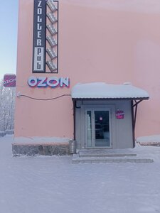 Pushkina Street, 11, Polyarnie Zori: photo